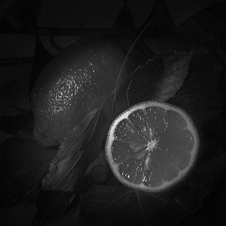 Lemon Lemon