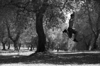 In Volo In Volo