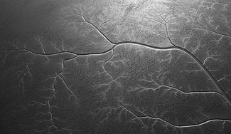 SFO Mudflats (1) SFO Mudflats (1)