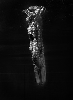 Diver Diver