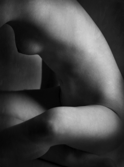 Twisting Torso (2) Twisting Torso (2)