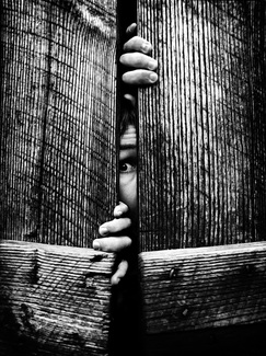 Fear Fear