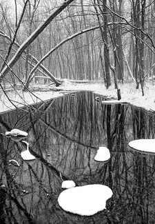 Reflections on Winter Stream Reflections on Winter Stream