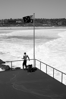 Standing Tall Standing Tall