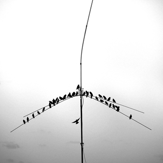 Meeting Meeting