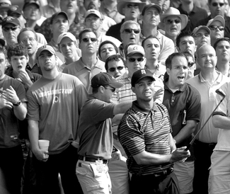 Tiger (2) Tiger (2)