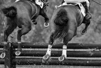 Hoof It! Hoof It!
