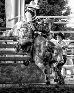 Rodeo 1 Rodeo 1