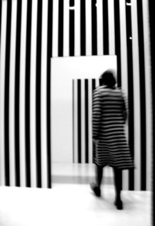 Lines Lines