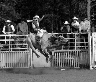Rodeo_12 Rodeo_12