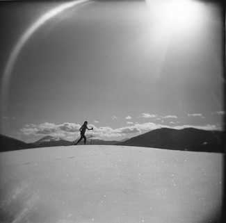 Cross Country Skier Cross Country Skier