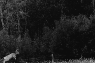 Idaho Idaho