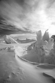 Whispers of Antarctica Whispers of Antarctica