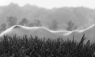 Ridges Ridges