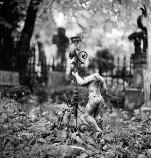 Untitled (3) Untitled (3)