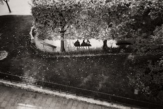 men on park bench from window-paris men on park bench from window-paris