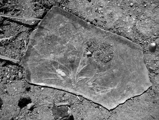 Under Glass 01 Under Glass 01
