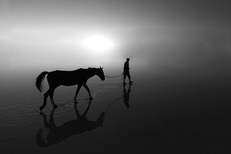 walking on the water... walking on the water...