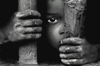 Captive Captive