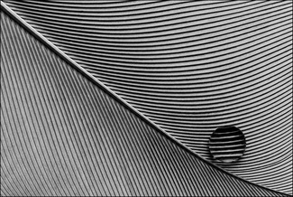 Parallels 03 Parallels 03