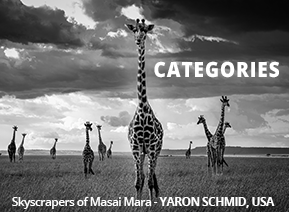 Categories