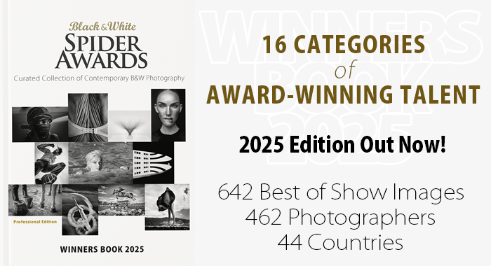 Winners Book 2025 Professional Edition