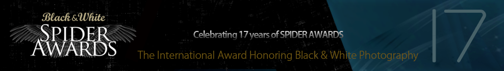 Black and White Spider Awards