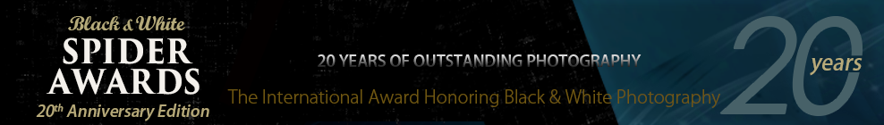 Black and White Spider Awards